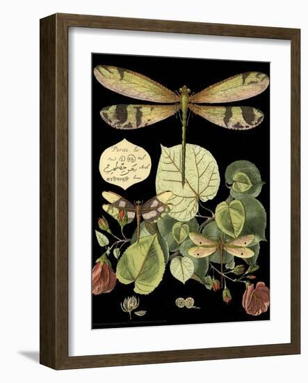 Whimsical Dragonfly on Black II-Vision Studio-Framed Art Print