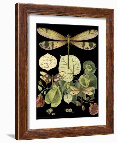 Whimsical Dragonfly on Black II-Vision Studio-Framed Art Print