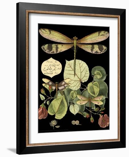 Whimsical Dragonfly on Black II-Vision Studio-Framed Art Print