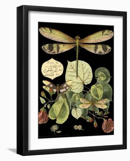 Whimsical Dragonfly on Black II-Vision Studio-Framed Art Print