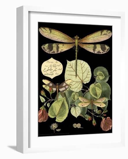 Whimsical Dragonfly on Black II-Vision Studio-Framed Art Print