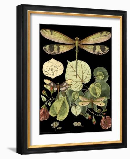 Whimsical Dragonfly on Black II-Vision Studio-Framed Art Print