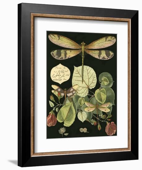 Whimsical Dragonfly on Black II-null-Framed Premium Giclee Print