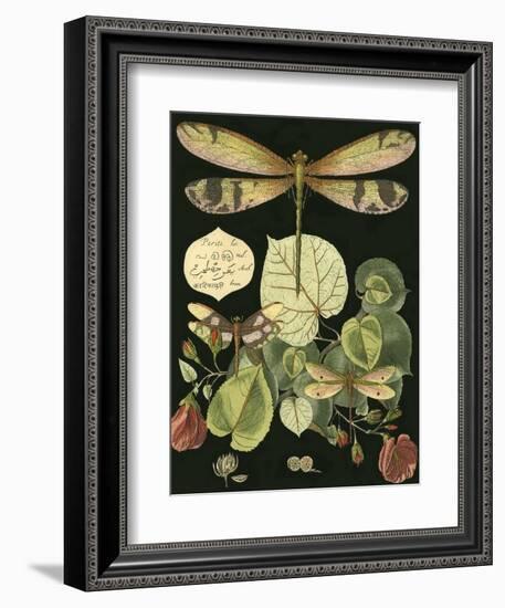 Whimsical Dragonfly on Black II-null-Framed Premium Giclee Print