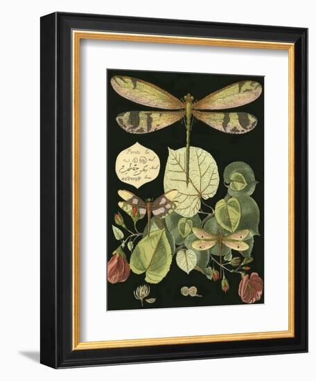 Whimsical Dragonfly on Black II-null-Framed Premium Giclee Print