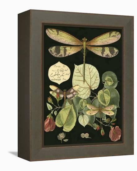 Whimsical Dragonfly on Black II-null-Framed Stretched Canvas