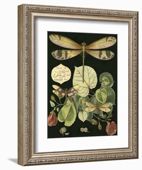 Whimsical Dragonfly on Black II-null-Framed Art Print