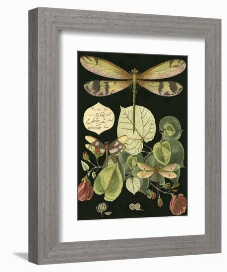 Whimsical Dragonfly on Black II-null-Framed Art Print