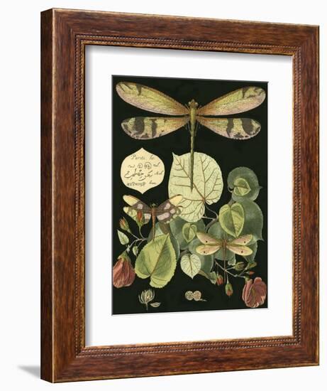 Whimsical Dragonfly on Black II-null-Framed Art Print