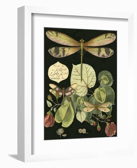 Whimsical Dragonfly on Black II-null-Framed Art Print