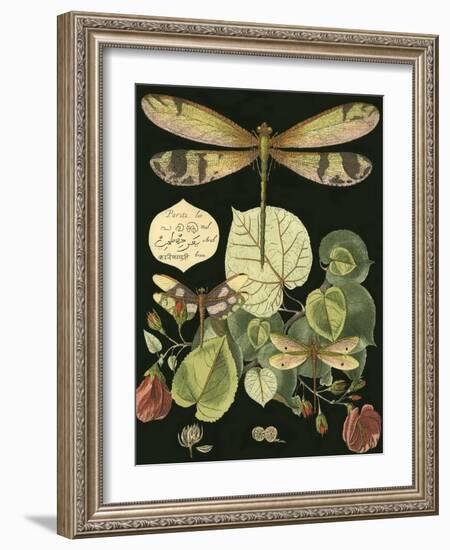 Whimsical Dragonfly on Black II-null-Framed Art Print