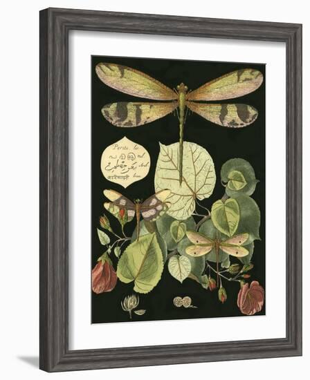 Whimsical Dragonfly on Black II-null-Framed Art Print