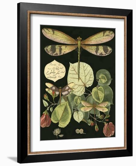 Whimsical Dragonfly on Black II-null-Framed Art Print