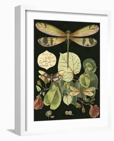 Whimsical Dragonfly on Black II-null-Framed Art Print