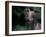 Whippet Panting-Adriano Bacchella-Framed Photographic Print