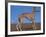 Whippet-Adriano Bacchella-Framed Photographic Print