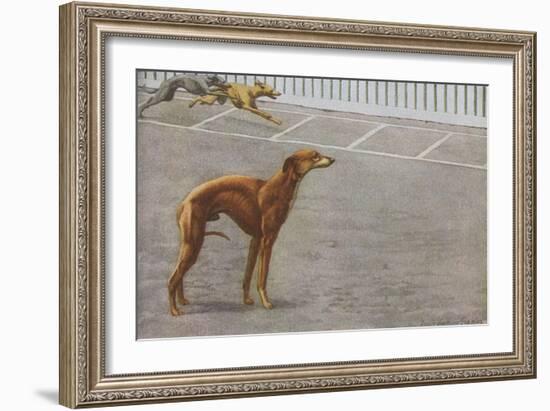 Whippets-null-Framed Art Print