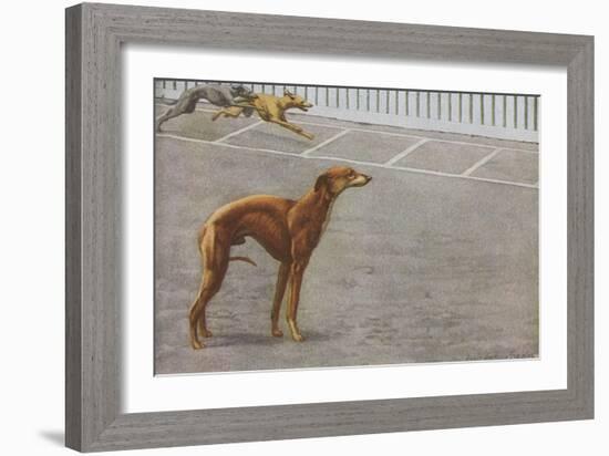 Whippets-null-Framed Art Print