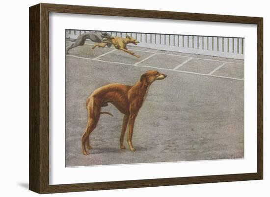 Whippets-null-Framed Art Print