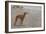 Whippets-null-Framed Art Print