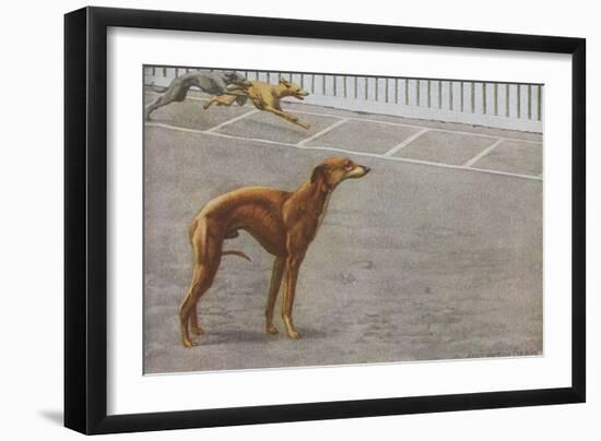 Whippets-null-Framed Art Print