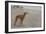 Whippets-null-Framed Art Print