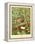 Whippoorwill-null-Framed Stretched Canvas