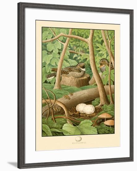 Whippoorwill-null-Framed Art Print