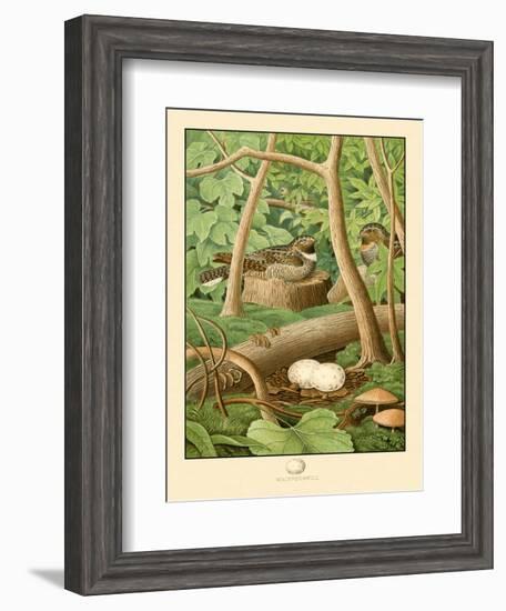 Whippoorwill-null-Framed Art Print