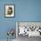 Whippoorwills-John James Audubon-Framed Giclee Print displayed on a wall
