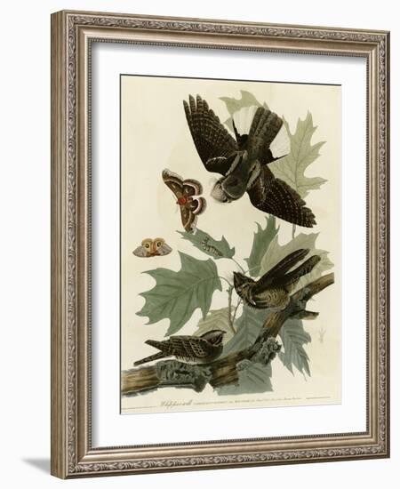 Whipporwill-null-Framed Giclee Print