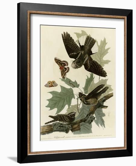 Whipporwill-null-Framed Giclee Print