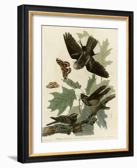 Whipporwill-null-Framed Giclee Print