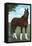 Whirlaway, Kentucky Derby Winner-null-Framed Stretched Canvas