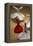 Whirling Dervishes at the Dervishes Festival, Konya, Central Anatolia, Turkey, Asia Minor, Eurasia-Bruno Morandi-Framed Premier Image Canvas