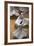 Whirling Dervishes at the Dervishes Festival, Konya, Central Anatolia, Turkey, Asia Minor, Eurasia-Bruno Morandi-Framed Photographic Print