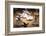 Whirling Dervishes at the Dervishes Festival, Konya, Central Anatolia, Turkey, Asia Minor, Eurasia-Bruno Morandi-Framed Photographic Print