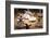 Whirling Dervishes at the Dervishes Festival, Konya, Central Anatolia, Turkey, Asia Minor, Eurasia-Bruno Morandi-Framed Photographic Print