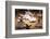 Whirling Dervishes at the Dervishes Festival, Konya, Central Anatolia, Turkey, Asia Minor, Eurasia-Bruno Morandi-Framed Photographic Print