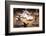 Whirling Dervishes at the Dervishes Festival, Konya, Central Anatolia, Turkey, Asia Minor, Eurasia-Bruno Morandi-Framed Photographic Print