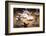 Whirling Dervishes at the Dervishes Festival, Konya, Central Anatolia, Turkey, Asia Minor, Eurasia-Bruno Morandi-Framed Photographic Print