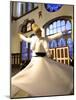 Whirling Dervishes, Istanbul, Turkey-Neil Farrin-Mounted Photographic Print
