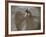 Whirling Dervishes, Performing the Sema Ceremony, Istanbul, Turkey-Gavin Hellier-Framed Photographic Print