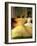 Whirling Dervishes, Sufis Dancing, Istanbul, Turkey, Europe-Bruno Morandi-Framed Photographic Print