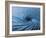 Whirlpool, a Fathom Across at Spinning Vortex, Caused by Converging Tides and Currents in Gulf-George Silk-Framed Photographic Print