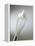 Whisk with Beaten Egg-whites-Steve Lupton-Framed Premier Image Canvas