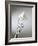 Whisk with Beaten Egg-whites-Steve Lupton-Framed Photographic Print