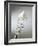 Whisk with Beaten Egg-whites-Steve Lupton-Framed Photographic Print