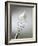 Whisk with Beaten Egg-whites-Steve Lupton-Framed Photographic Print