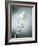 Whisk with Egg-Whites-Steve Lupton-Framed Photographic Print